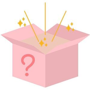 Mystery Box Bundle Lot - SIZES XS-XL